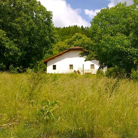 Chez Louve Bleue 3* Hotonnes