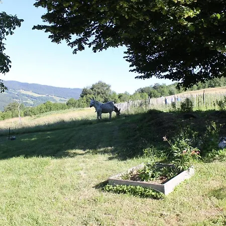 Nocleg ze śniadaniem Chez Louve Bleue Hotonnes